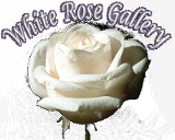 White Rose Gallery