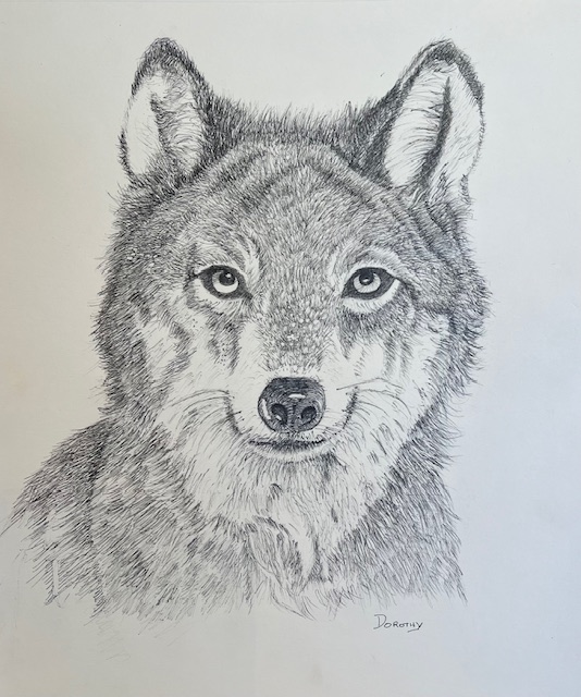 Wolf